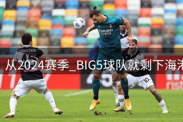 从2024赛季 BIG5球队就剩下海港没换过教练 北京国安换帅最频繁